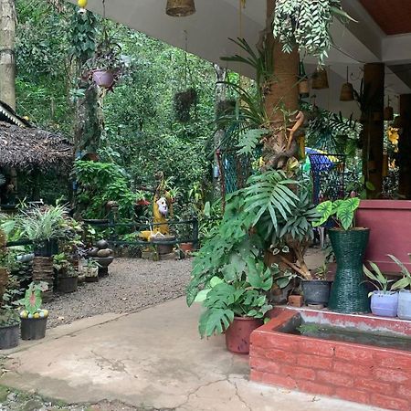 Jungleview Home Stay Idukki Extérieur photo
