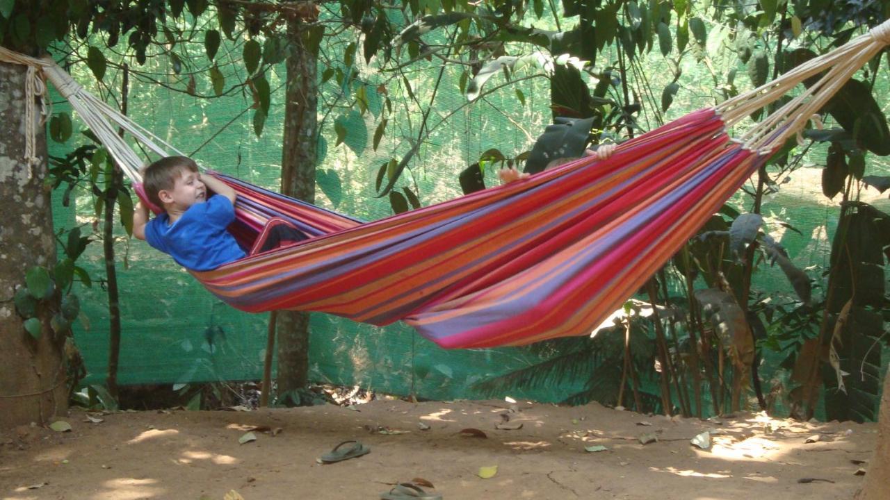 Jungleview Home Stay Idukki Extérieur photo
