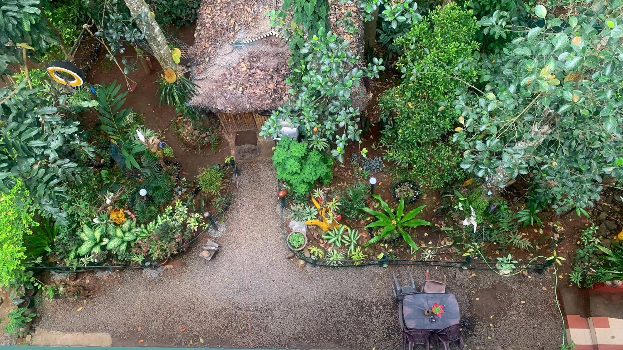 Jungleview Home Stay Idukki Extérieur photo