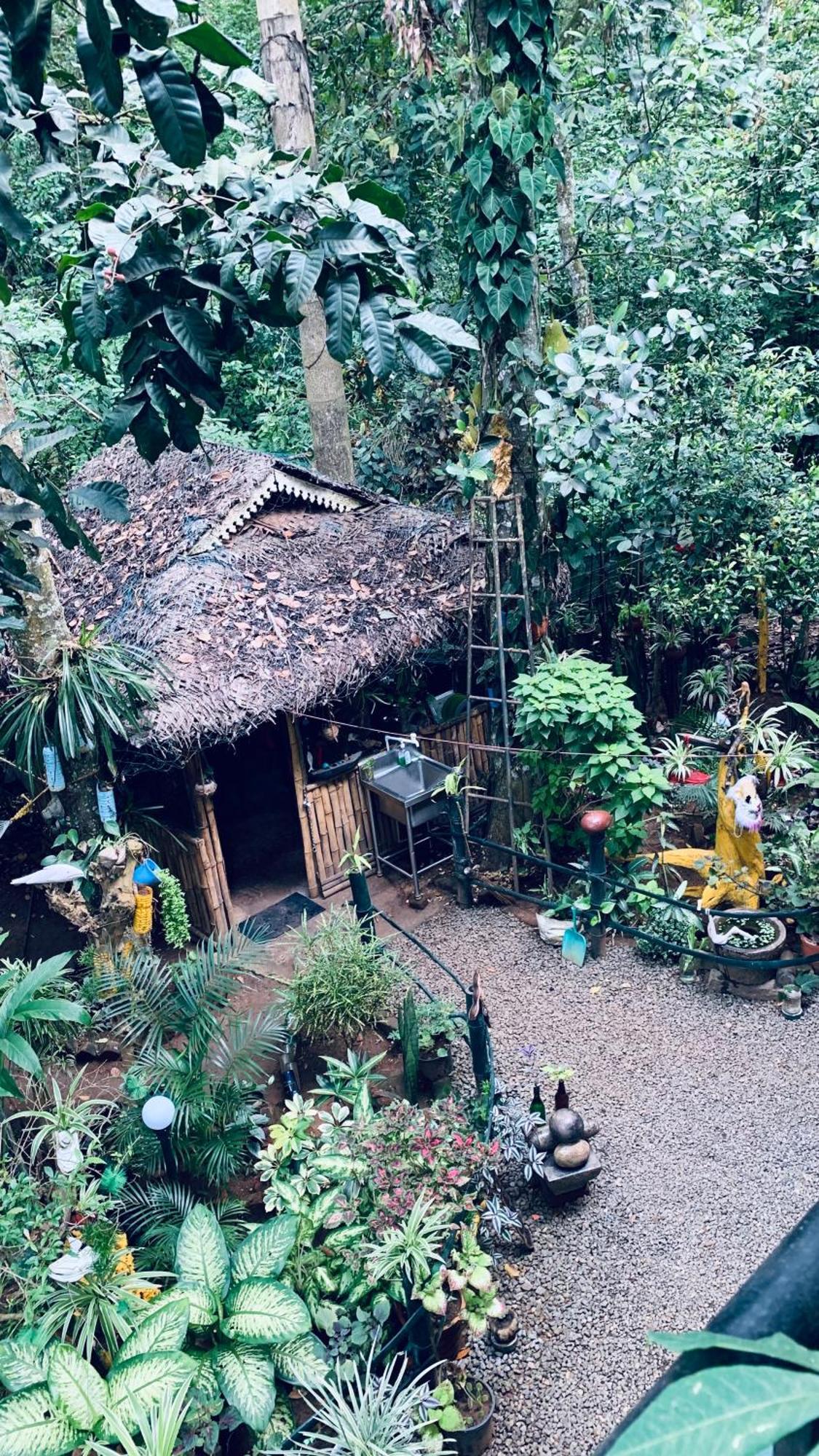 Jungleview Home Stay Idukki Extérieur photo