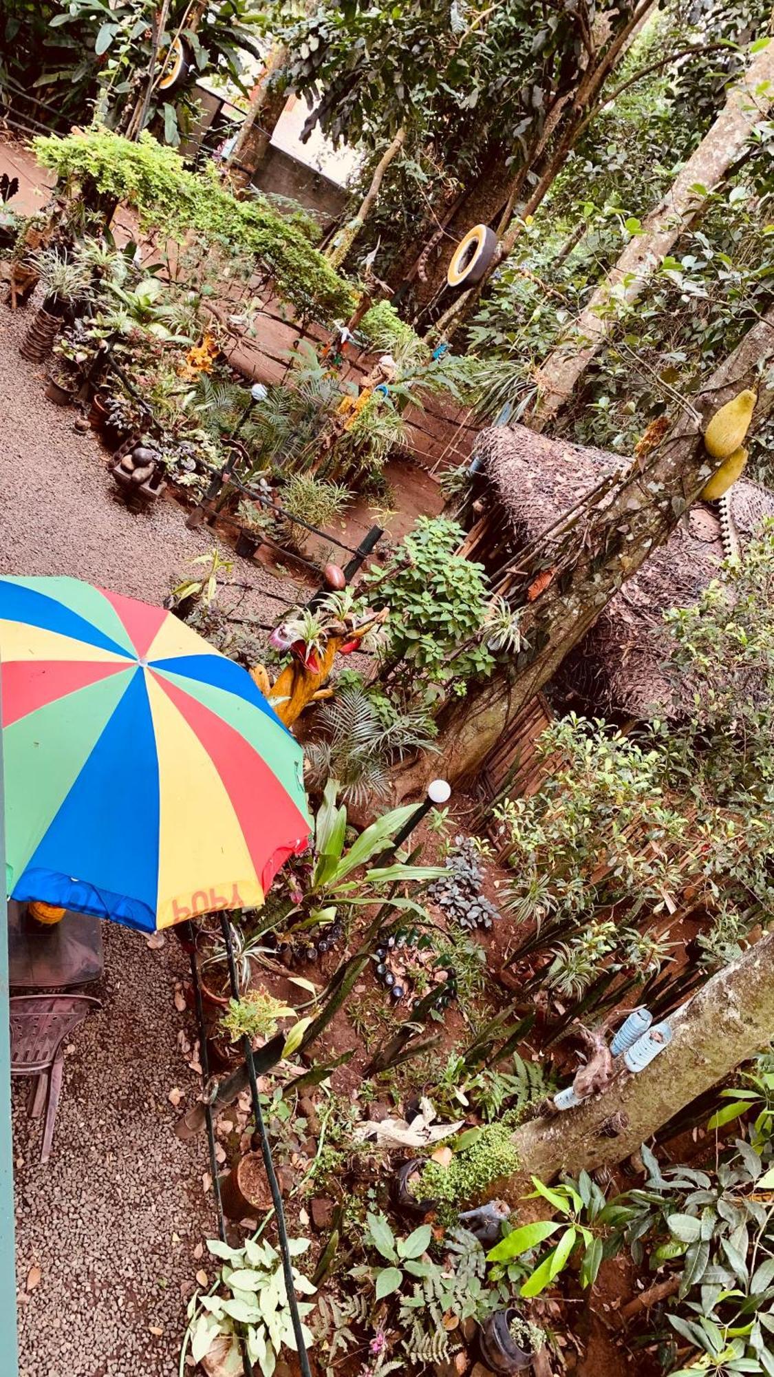 Jungleview Home Stay Idukki Extérieur photo