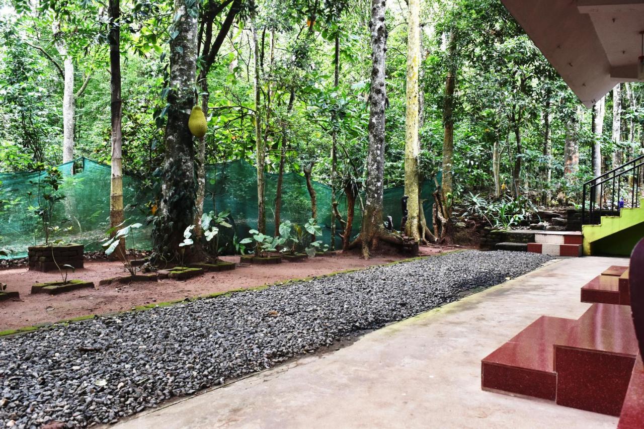 Jungleview Home Stay Idukki Extérieur photo
